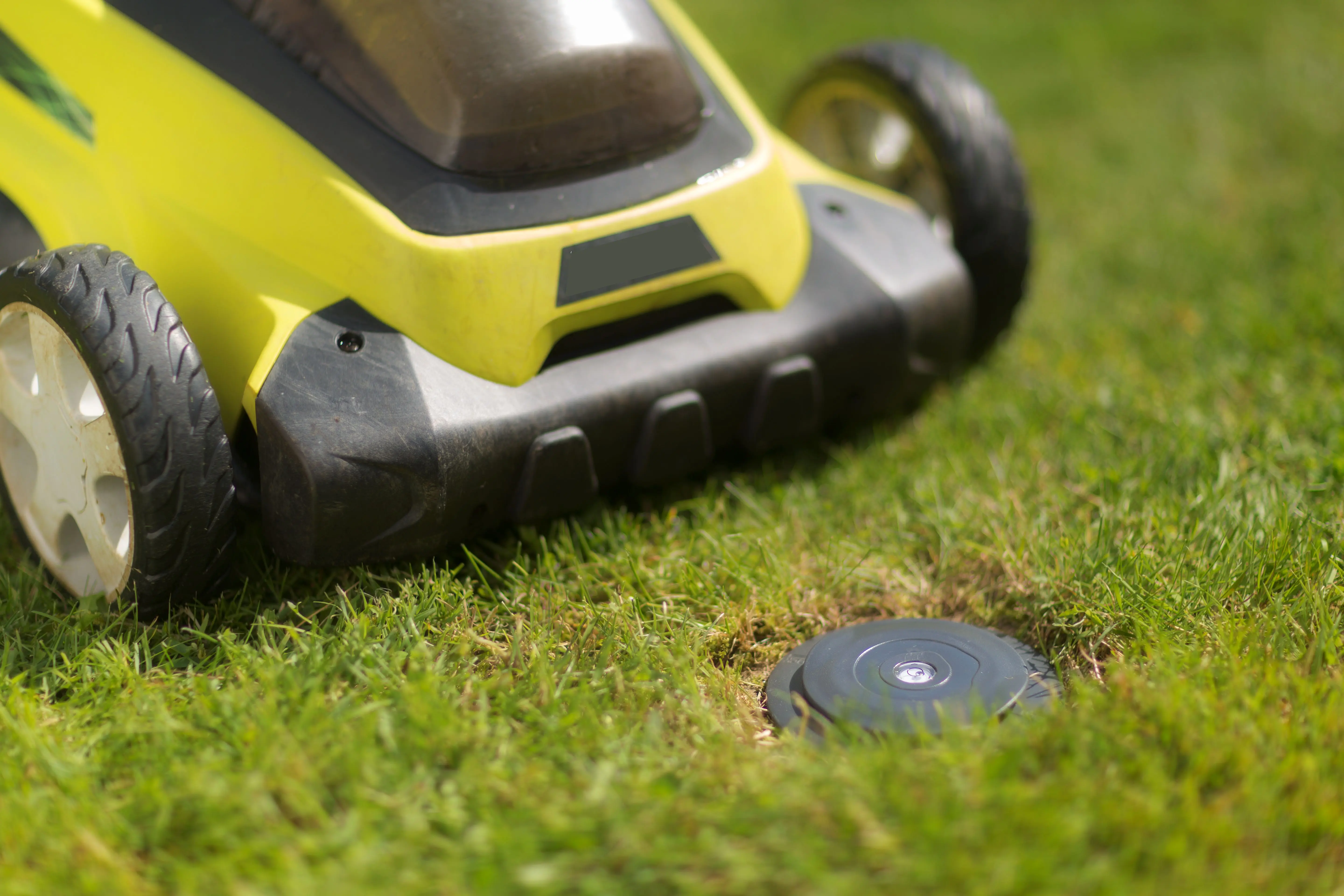 terrace or lawn are completely clear